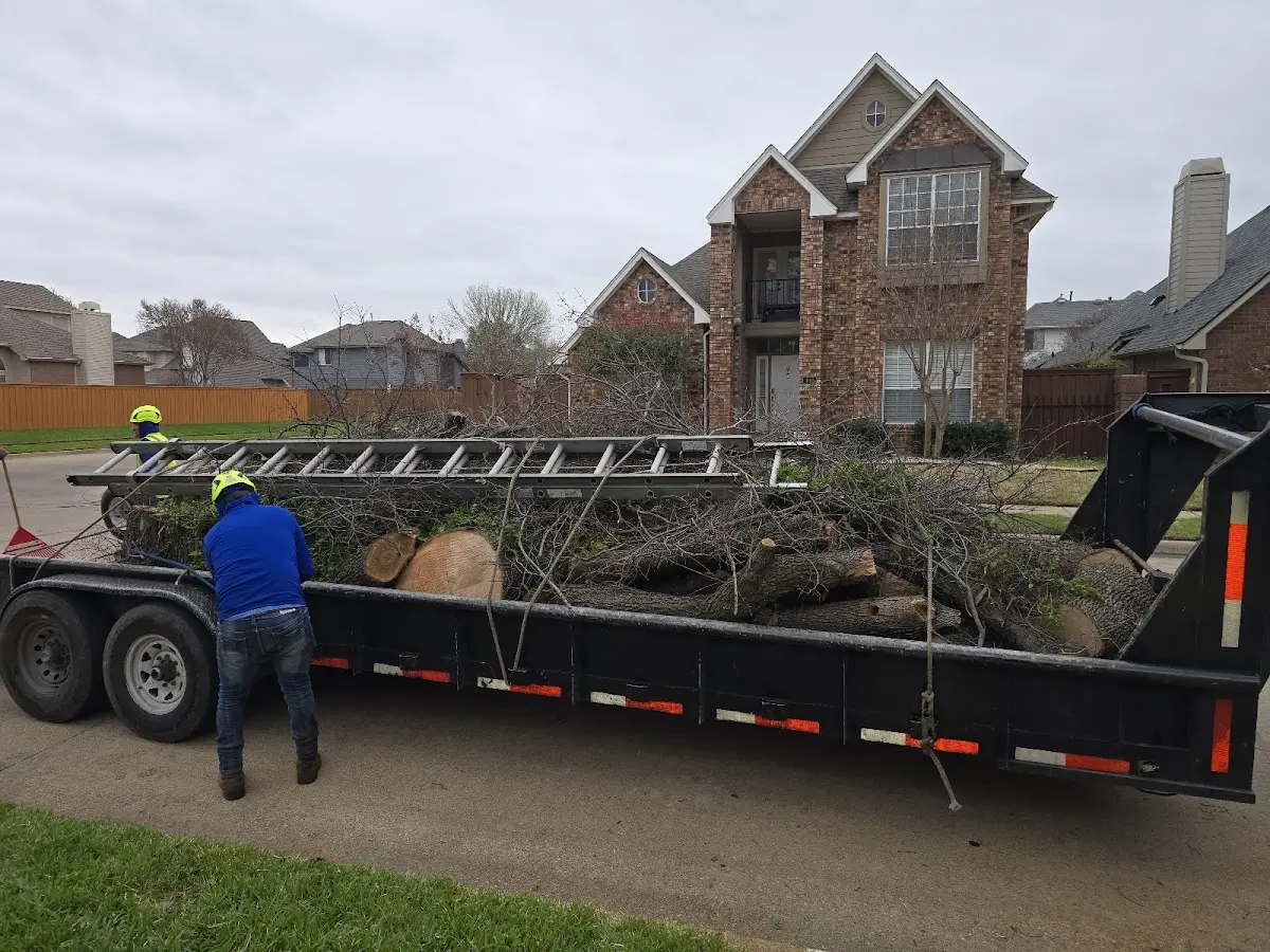 Expert Tree Pest Control with proper safety equipment in New Baden